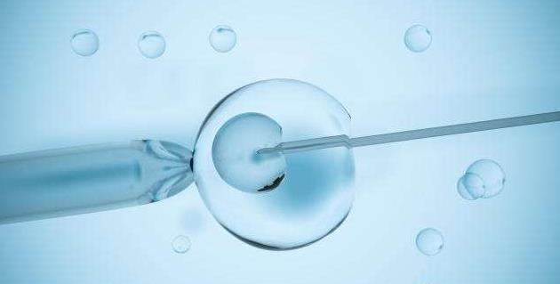 促排卵是三代试管中重要的步骤在宜昌做试管促排要经历这些流程