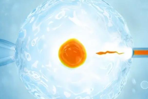 南通妇幼保健院试管成功率分析附2024最新借卵子价格明细