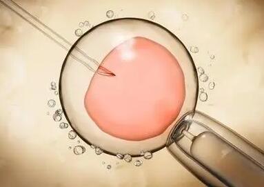 做三代试管前如何评估卵巢功能，这些关键指标要知晓