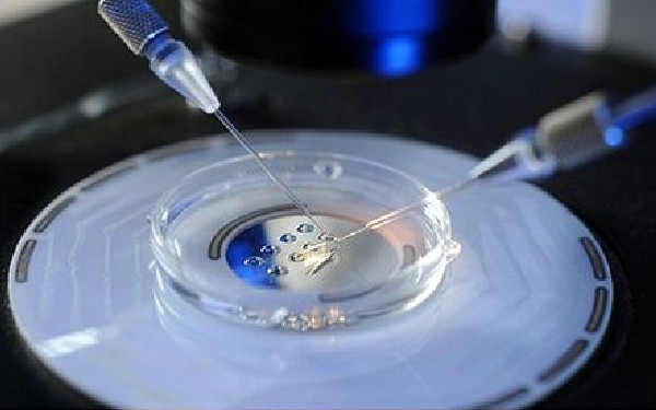 想要提高试管婴儿的成功率了解一下胚胎养囊技术的优势