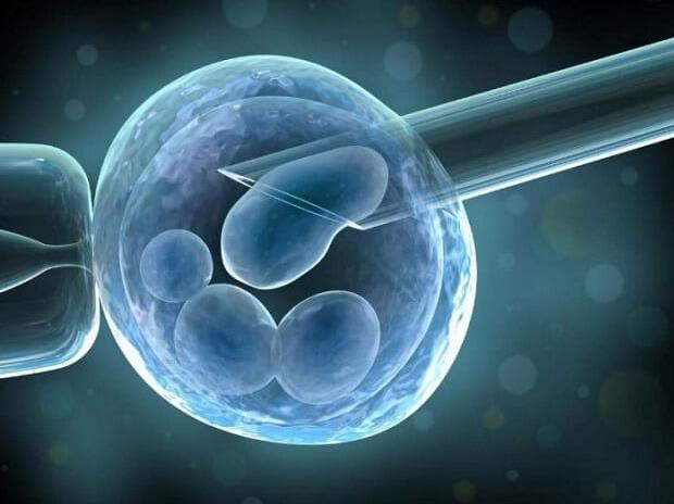 试管只配成一个优质胚胎医却建议直接做移植手术是为什么