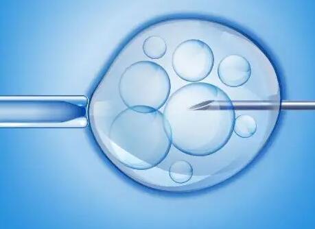 3个卵泡试管婴儿成功率高吗，做试管婴儿需要多少钱